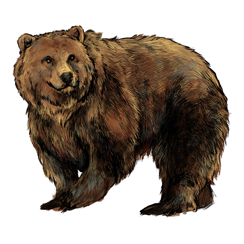 Grizzly Bear Premium Tee by HowdyJamesFarm | Teevron