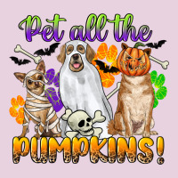 Pet All The Pumpkins Ladies Tee | Teevron