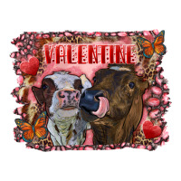 Valentine heifers | Teevron