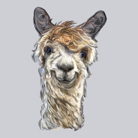 Alpaca Heavyweight Sweatshirt | Teevron
