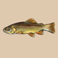 Arizona Apache Trout Fish Heavyweight Sweatshirt | Teevron