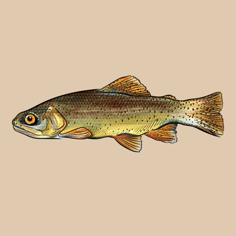 Arizona Apache Trout Fish Heavyweight Sweatshirt by BarkalooDesign | Teevron