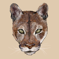 Florida Panther  Face Heavyweight Sweatshirt | Teevron