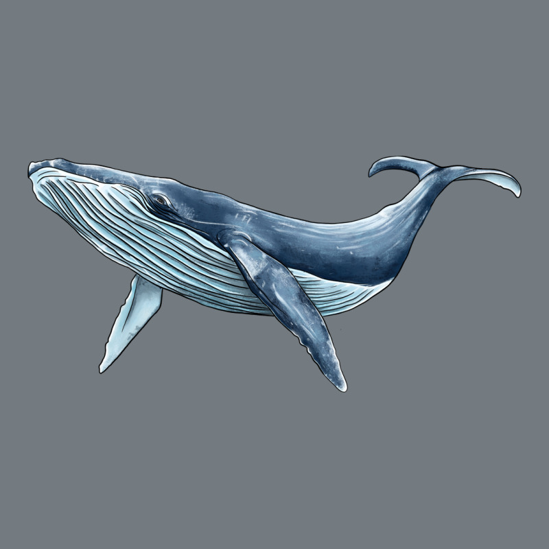 Humpback Whale Heavyweight Sweatshirt by BarkalooDesign | Teevron