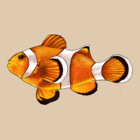 Clown Fish Side Heavyweight Sweatshirt | Teevron