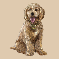 Goldendoodle Heavyweight Sweatshirt | Teevron