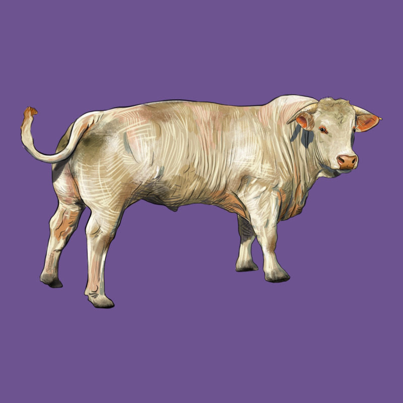 Charolais Bull Vintage Tee by RanaPortraitStore | Teevron