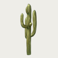 Cactus Zipper Hoodie | Teevron