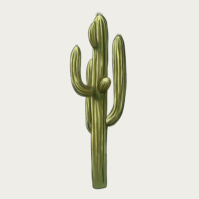 Cactus Zipper Hoodie by BarkalooDesign | Teevron