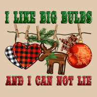 I Like Big Bulbs And I Can Not Lie Heavyweight Sweatshirt | Teevron