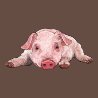 Baby Pig Long Sleeve Tee | Teevron