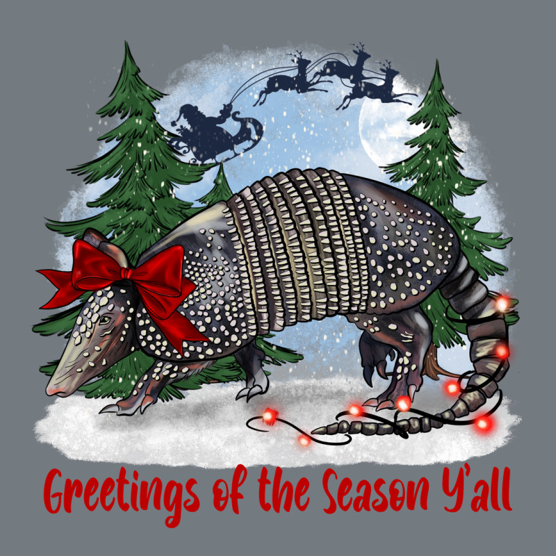 Greetings Of The Season Y'all With Armadillo Heavyweight Sweatshirt by BarkalooDesign | Teevron