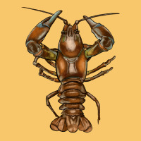 Crawfish Vintage Hoodie | Teevron