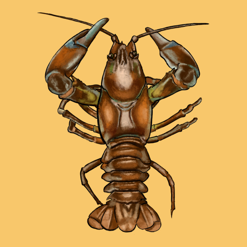 Crawfish Vintage Hoodie by FaDigitalArtStudio | Teevron