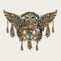 Native Dream Catcher With Owl Zipper Hoodie | Teevron