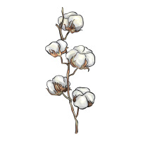 cotton | Teevron