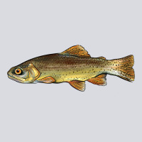 Arizona Apache Trout Fish Zipper Hoodie | Teevron