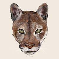 Florida Panther  Face Zipper Hoodie | Teevron