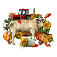 Fall charolais bull | Teevron