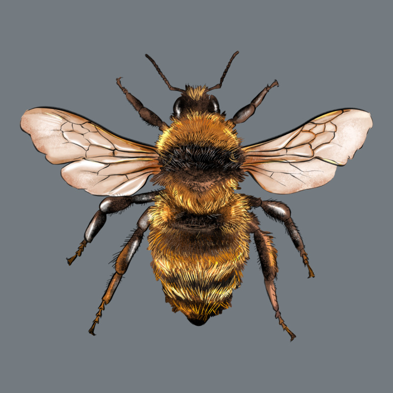 Bee Heavyweight Sweatshirt by Artiststas | Teevron