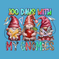 100 Days With My Gnomies Premium Hoodie | Teevron
