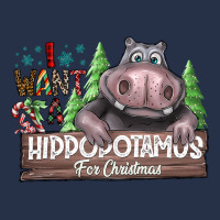 I Want A Hippopotamus For Christmas Premium Hoodie | Teevron