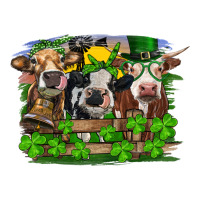 St patrick's day heifers | Teevron