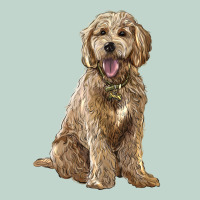 Goldendoodle Zipper Hoodie | Teevron