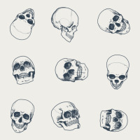 Skulls Zipper Hoodie | Teevron