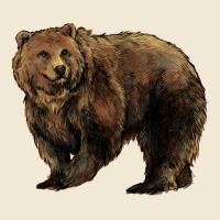 Grizzly Bear Ladies Tee | Teevron