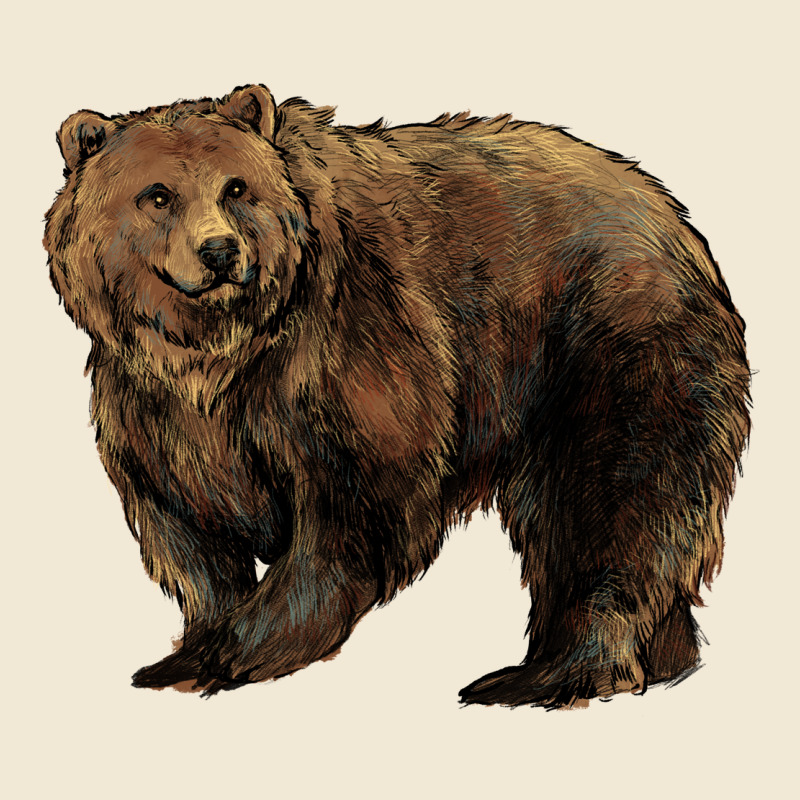 Grizzly Bear Ladies Tee by HowdyJamesFarm | Teevron