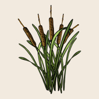 Reeds Zipper Hoodie | Teevron