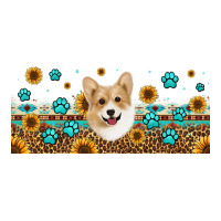 western corgi dog | Teevron