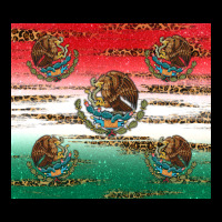 Mexican Flag Heavy Core Tee | Teevron