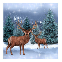 winter deer | Teevron
