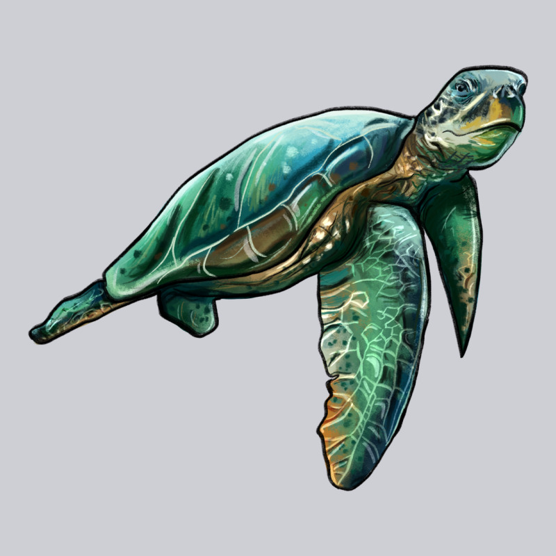 Sea Turtle Heavyweight Sweatshirt by Artiststas | Teevron