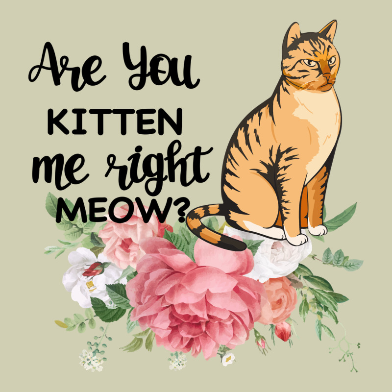 Are You Kitten Me Right Meow Heavy Core Tee by Bettercallsaul | Teevron