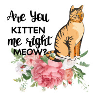 Are you kitten me right meow | Teevron