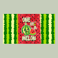 One In A Melon Ladies Tee | Teevron