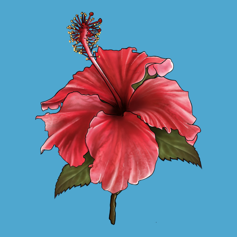 Puerto Rican Hibiscus Flower Illustrations Premium Hoodie by LillyAllenDesigns | Teevron