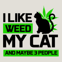 Cat Weed I Like My Cat Gift Heavy Core Tee | Teevron
