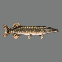 Northern Pike Fish Illustrations Premium Hoodie | Teevron
