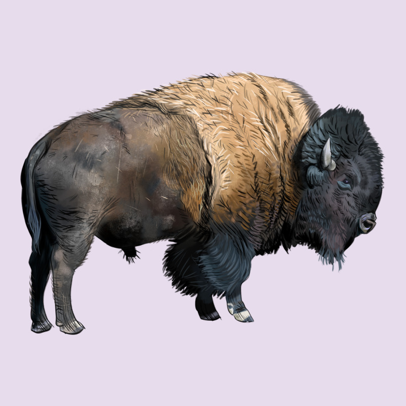Bison Buffalo Premium Hoodie by LillyAllenDesigns | Teevron