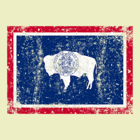 State Of Wyoming Flag Fun Vintage Retro Fall Hiking Urban Hoodie | Teevron
