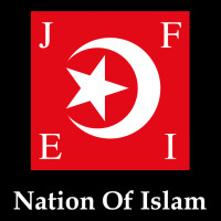 Nation Of Islam Flag Ladies Tee | Teevron