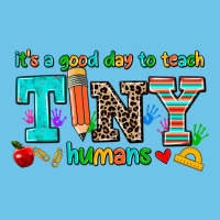Its A Good Day To Teach Tiny Humans Premium Sweatshirt | Teevron