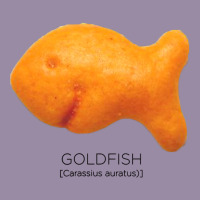 Scientific Goldfish Classic Tee | Teevron