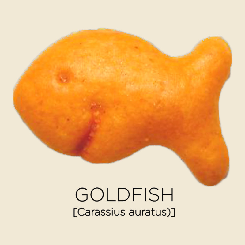 Scientific Goldfish Premium Tee by longCreatives | Teevron