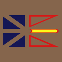 Newfoundland And Labrador Flag - 3 Color Premium Tee | Teevron