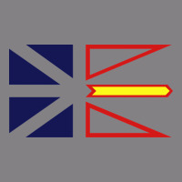Newfoundland And Labrador Flag - 3 Color Heavyweight Hoodie | Teevron